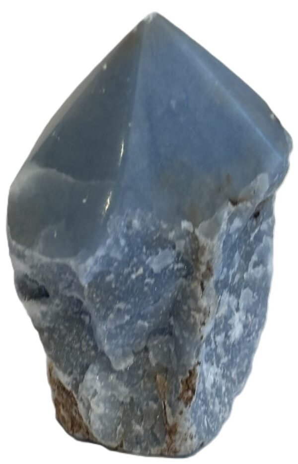 Natural rough angelite freeform with polished point 1 sians emporium Natural rough angelite freeform crystal with unpolished sides and a smooth polished blue point standing on a white background